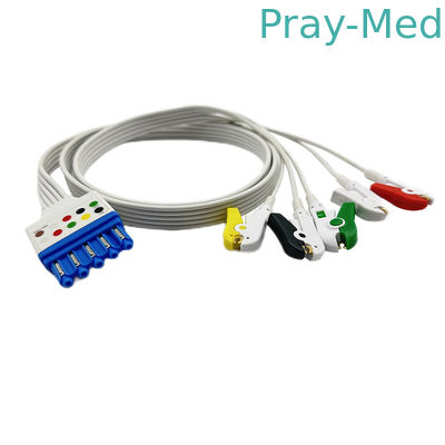 호환성 PH 처분할 수 있는 ECG 납선 3/5 지도 989803173131