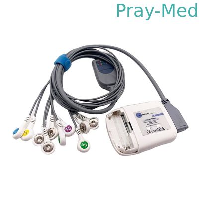 Bs6930 BS6930-3에 호환되는 Borsam Holter Ecg 케이블 10 지도 회색 2m
